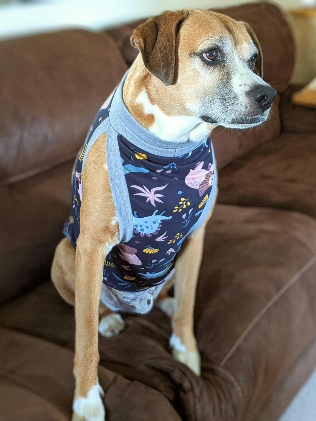 Dinos on Dark Blue Dog Pajamas