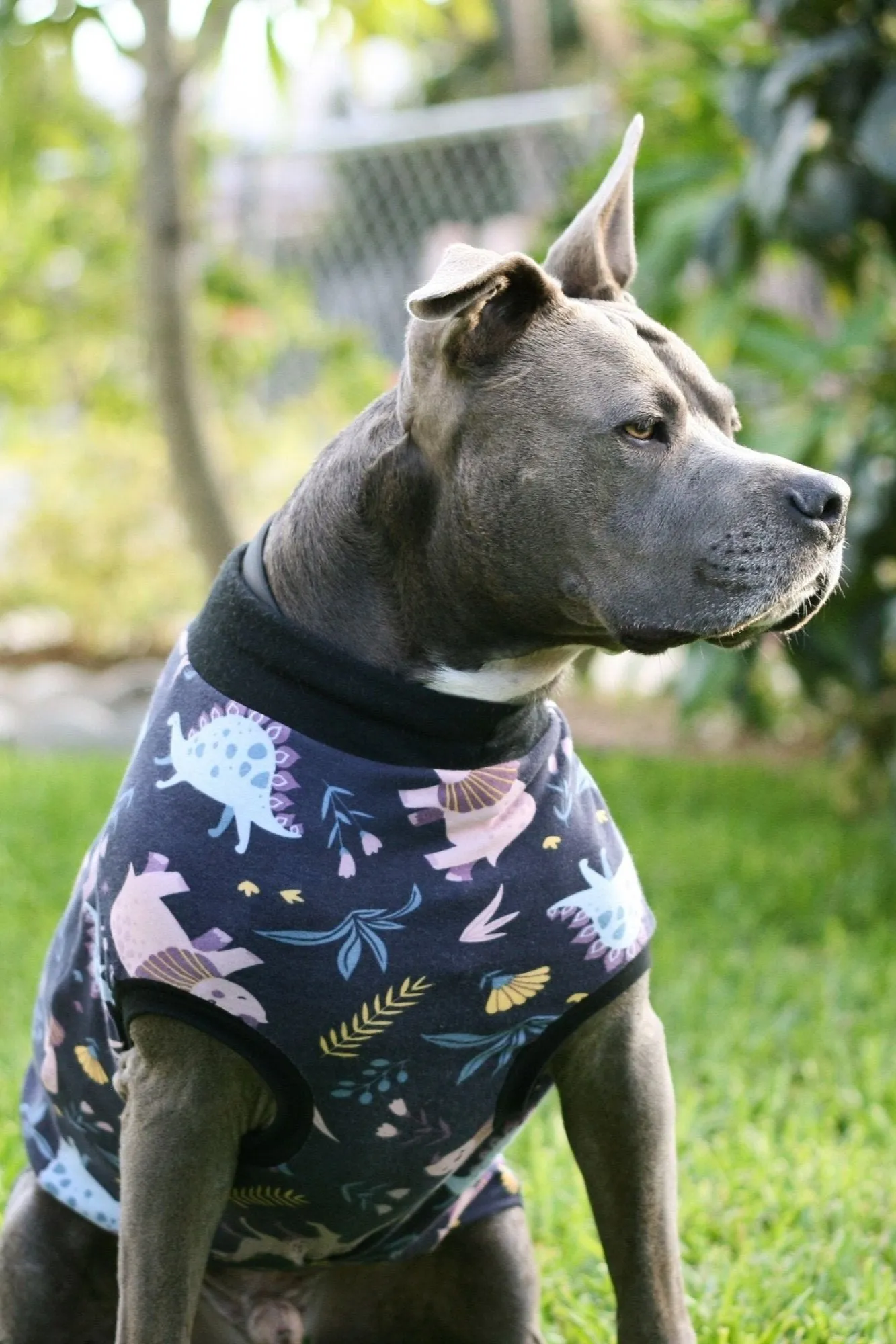 Dinos on Dark Blue Dog Pajamas