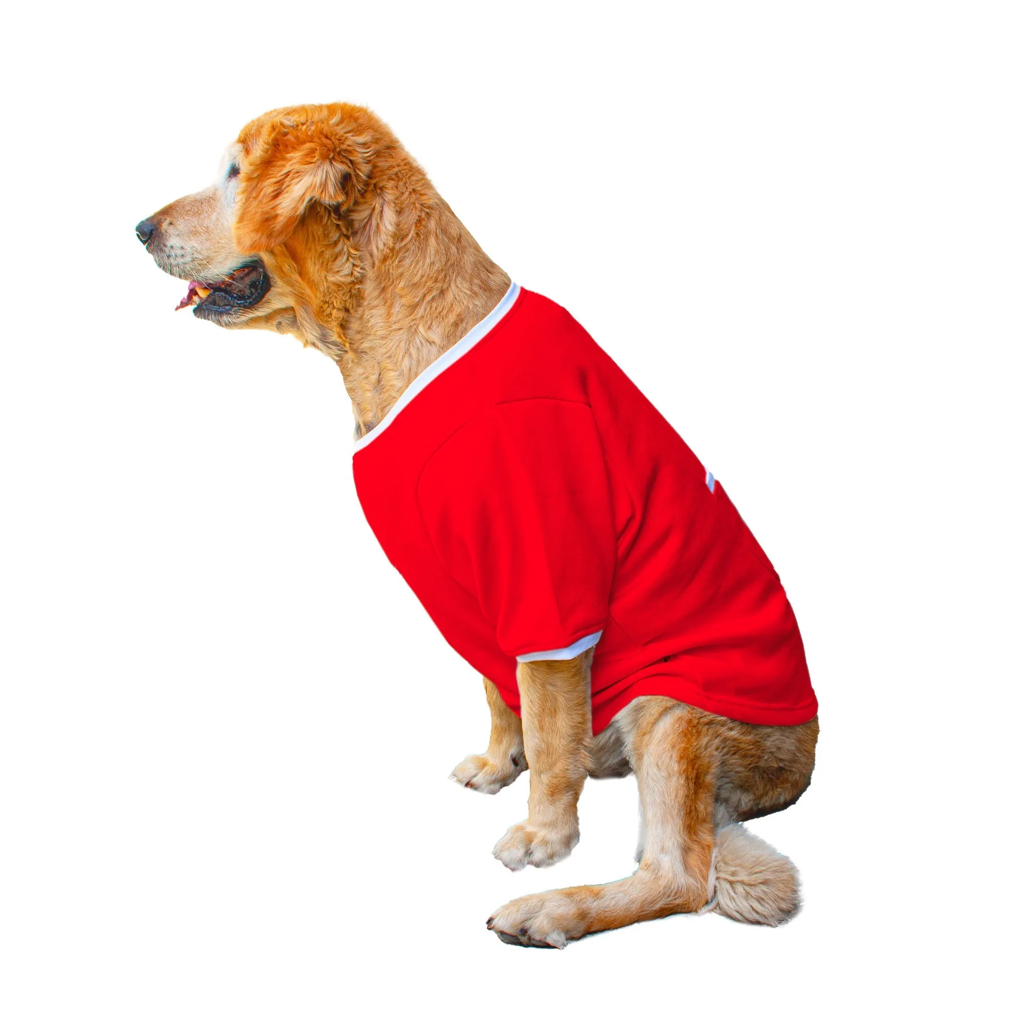 Ruse 'Basics' "Meat Lover" Printed Crew Neck Full Sleeve Expedition Sweatshirt For Dogs