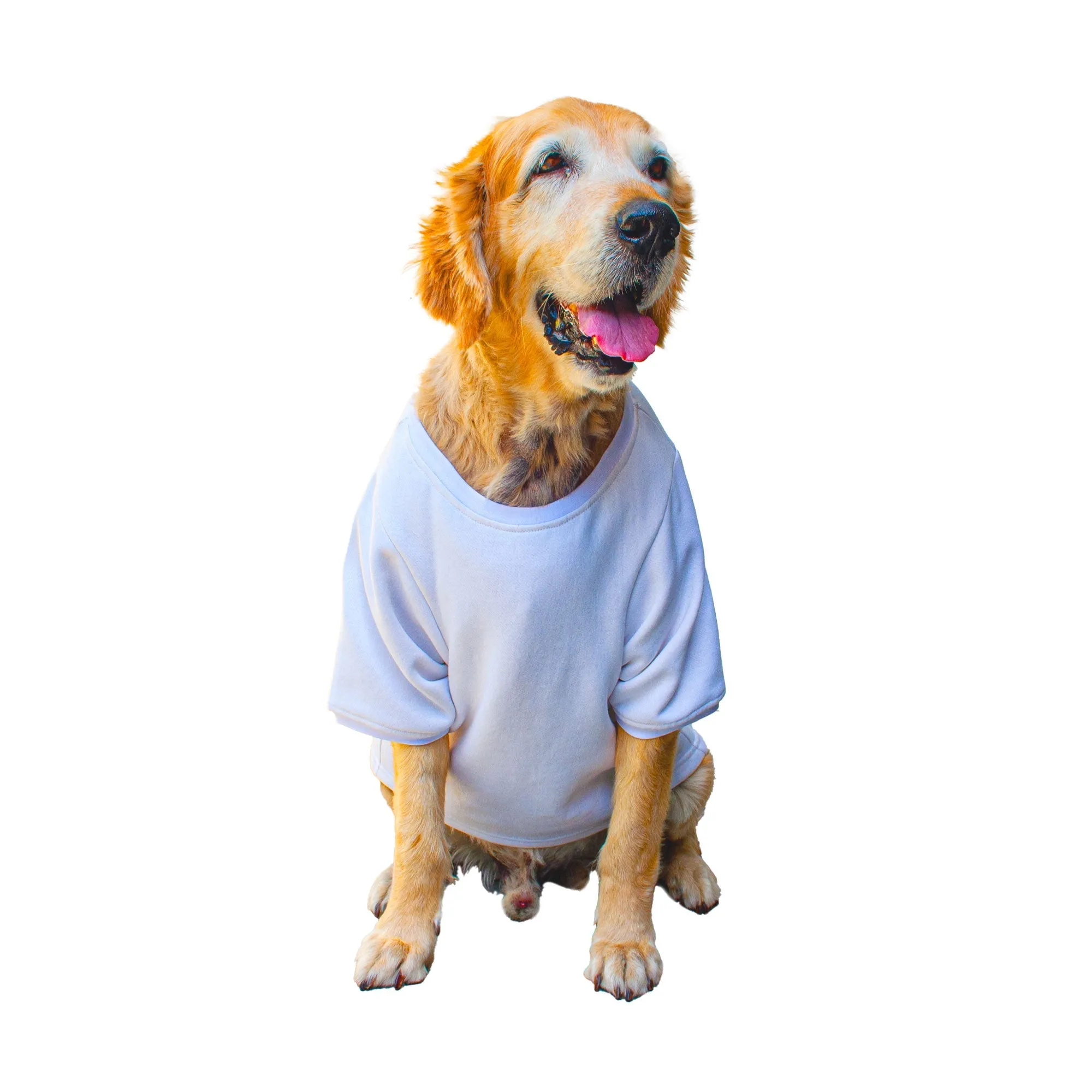 Ruse 'Basics' "Meat Lover" Printed Crew Neck Full Sleeve Expedition Sweatshirt For Dogs