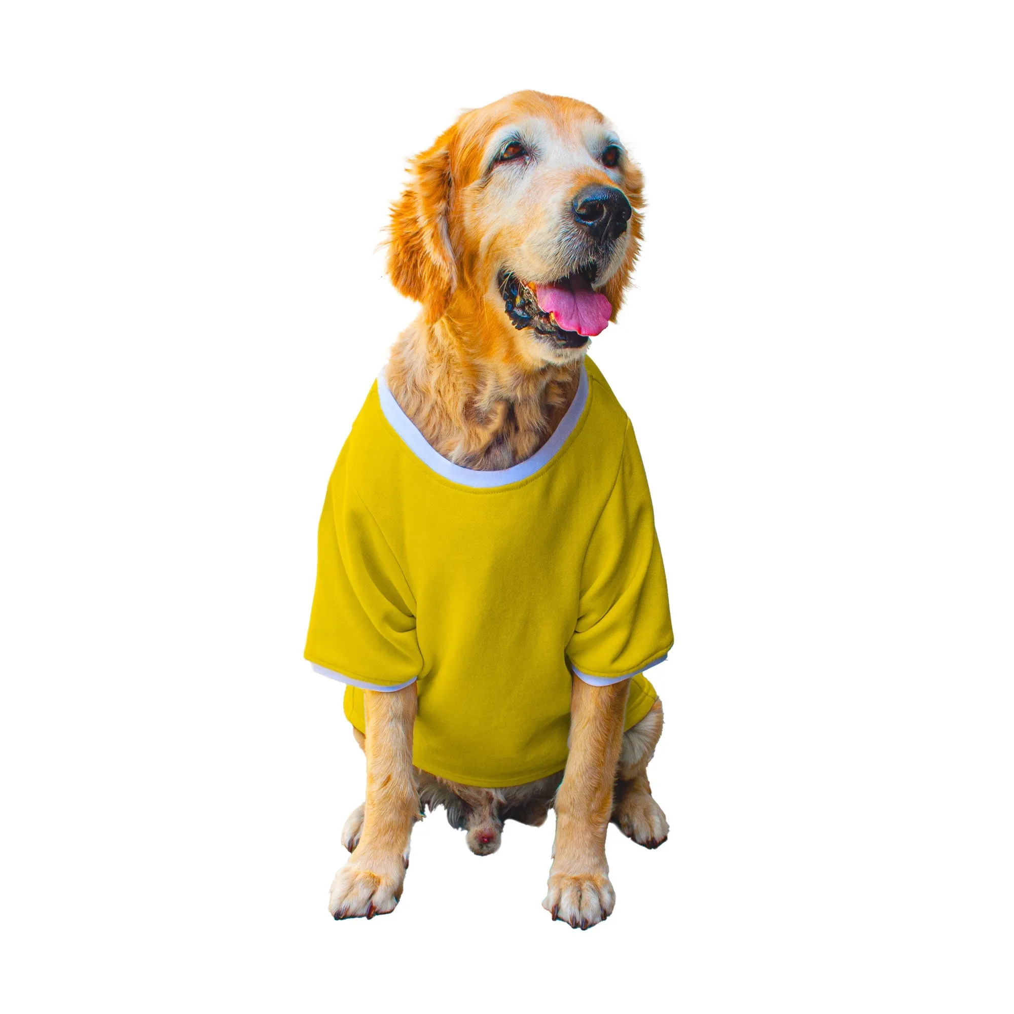 Ruse 'Basics' "Meat Lover" Printed Crew Neck Full Sleeve Expedition Sweatshirt For Dogs